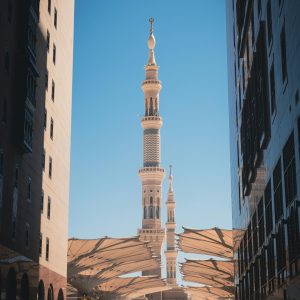 pexels-ali-burak-cesur-2516302-21293114