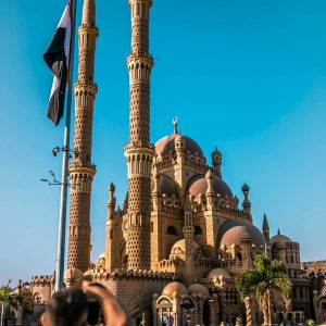 pexels-avivperets-3540318