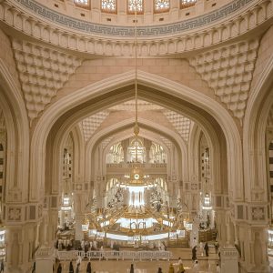 pexels-nfzzz-24285084