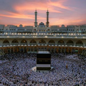 pexels-sultan-175963006-18274181