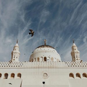 pexels-tahir-osman-109306362-15494477