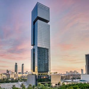 the-first-collection